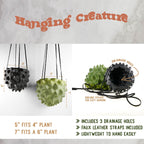 The Creature Orb Hanging Planter - For Hanging Plants