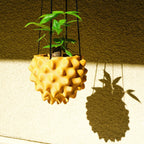 The Creature Orb Hanging Planter - For Hanging Plants