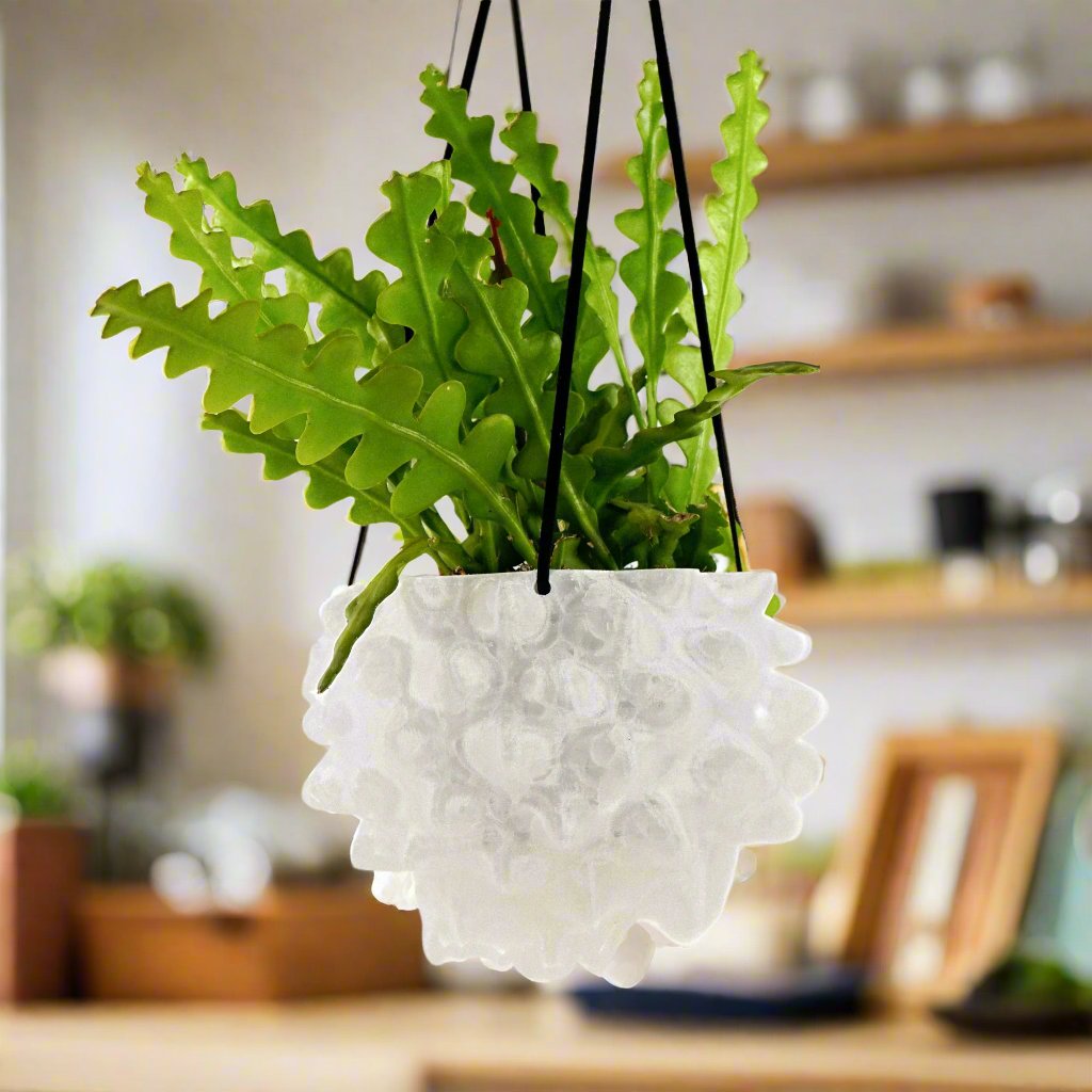 The Creature Orb Hanging Planter - For Hanging Plants
