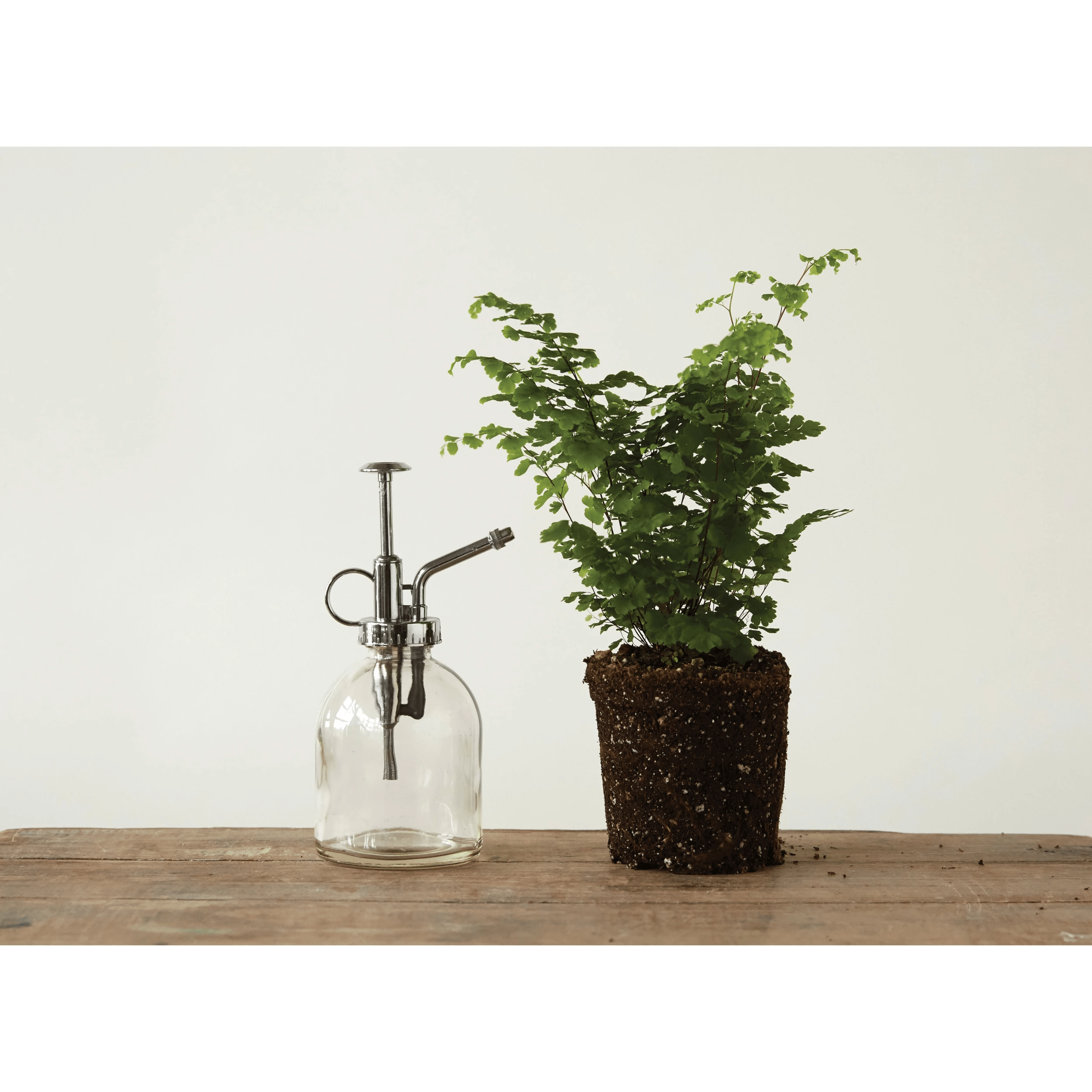 Clear Glass Plant Mister - Silver Pump