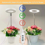 Halo Single Plant Grow Light - Full Spectrum LED