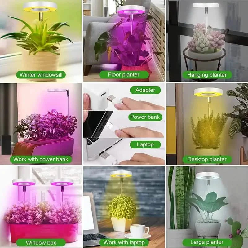 Halo Single Plant Grow Light - Full Spectrum LED