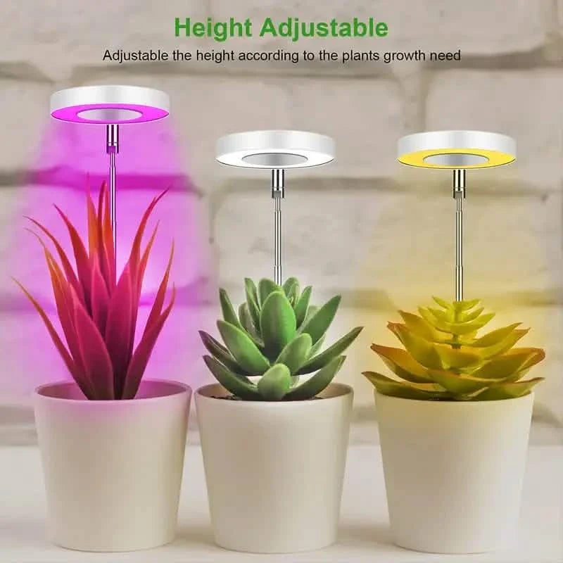 Halo Single Plant Grow Light - Full Spectrum LED