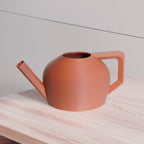 Modern Watering Can for Houseplants - 1000ml Volume