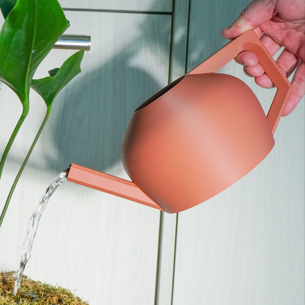 Modern Watering Can for Houseplants - 1000ml Volume