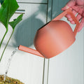 Modern Watering Can for Houseplants - 1000ml Volume
