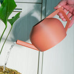 Modern Watering Can for Houseplants - 1000ml Volume