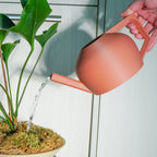Modern Watering Can for Houseplants - 1000ml Volume