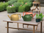 Modern Watering Can for Houseplants - 1000ml Volume