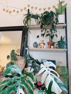 Monstera Hammered Brass - Decorative Garland