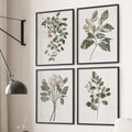 Vintage Style Plant Art - Set of 4, Wall Art