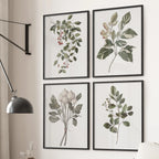 Vintage Style Plant Art - Set of 4, Wall Art