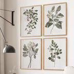 Vintage Style Plant Art - Set of 4, Wall Art
